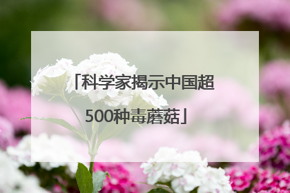 科学家揭示中国超500种毒蘑菇