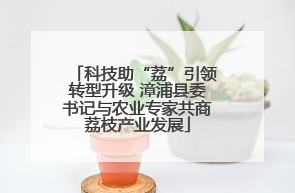 科技助“荔”引领转型升级 漳浦县委书记与农业专家共商荔枝产业发展