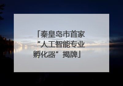 秦皇岛市首家“人工智能专业孵化器”揭牌