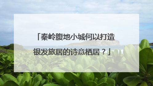 秦岭腹地小城何以打造银发旅居的诗意栖居？