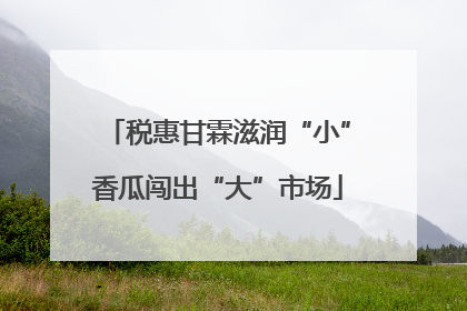 税惠甘霖滋润“小”香瓜闯出“大”市场