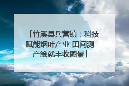 竹溪县兵营镇：科技赋能烟叶产业 田间测产绘就丰收图景