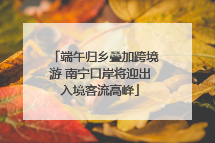 端午归乡叠加跨境游 南宁口岸将迎出入境客流高峰