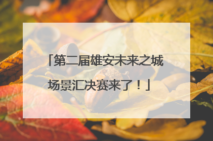 第二届雄安未来之城场景汇决赛来了！