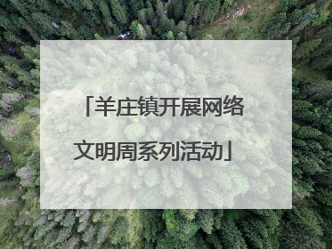 羊庄镇开展网络文明周系列活动