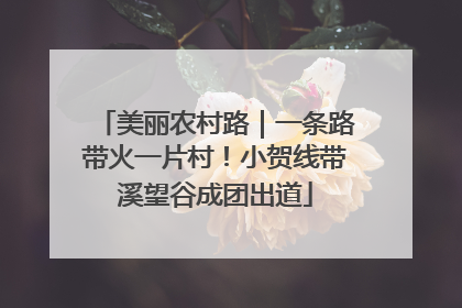 美丽农村路｜一条路带火一片村！小贺线带溪望谷成团出道