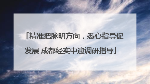 精准把脉明方向，悉心指导促发展 成都经实中迎调研指导
