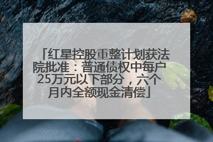 红星控股重整计划获法院批准：普通债权中每户25万元以下部分，六个月内全额现金清偿