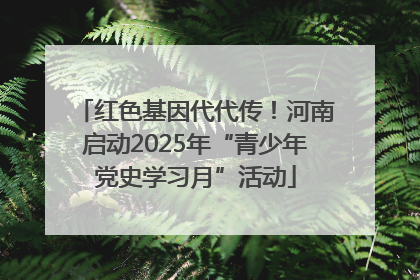 红色基因代代传！河南启动2025年“青少年党史学习月”活动