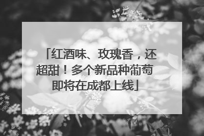 红酒味、玫瑰香，还超甜！多个新品种葡萄即将在成都上线