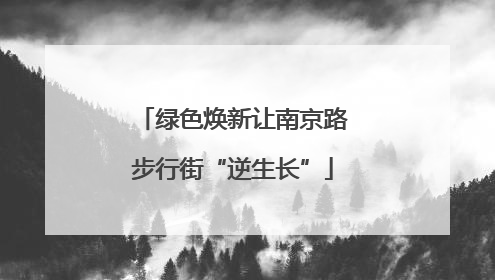 绿色焕新让南京路步行街“逆生长”