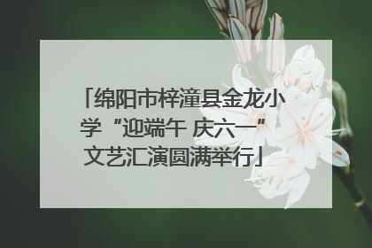 绵阳市梓潼县金龙小学“迎端午 庆六一”文艺汇演圆满举行