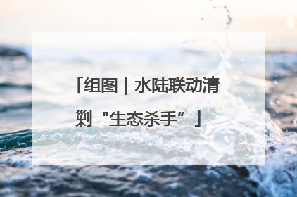 组图｜水陆联动清剿“生态杀手”