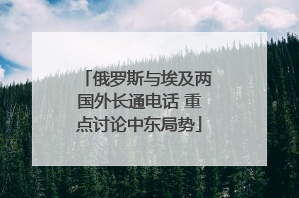 俄罗斯与埃及两国外长通电话 重点讨论中东局势