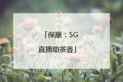 保康：5G直播助茶香