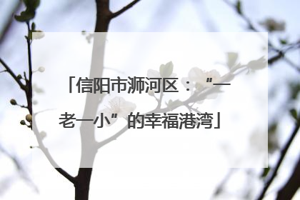 信阳市浉河区：“一老一小”的幸福港湾