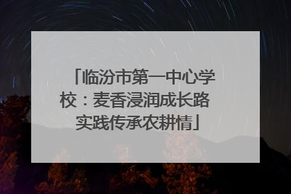 临汾市第一中心学校：麦香浸润成长路 实践传承农耕情