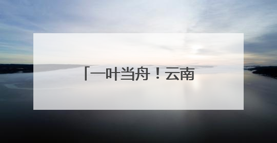 一叶当舟！云南这种神奇植物进入最佳观赏期
