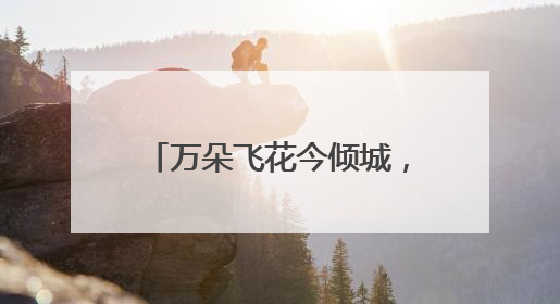 万朵飞花今倾城，千屏绽放美好声——北京花卉交易中心短视频拍摄基地启幕