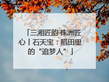 三湘匠韵·株洲匠心丨石天宝：稻田里的“追梦人”