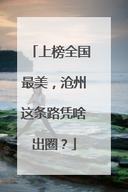上榜全国最美，沧州这条路凭啥出圈？