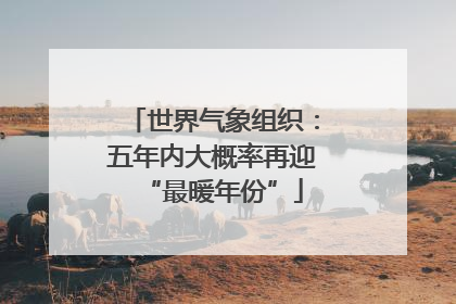 世界气象组织：五年内大概率再迎“最暖年份”