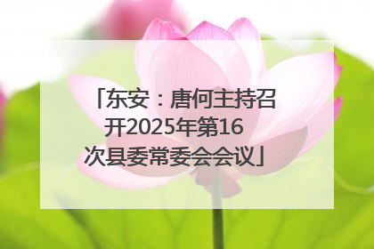 东安：唐何主持召开2025年第16次县委常委会会议