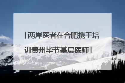 两岸医者在合肥携手培训贵州毕节基层医师