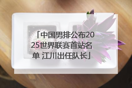 中国男排公布2025世界联赛首站名单 江川出任队长
