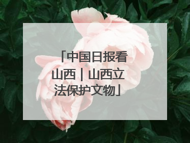 中国日报看山西｜山西立法保护文物