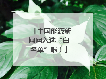 中国能源新闻网入选“白名单”啦！
