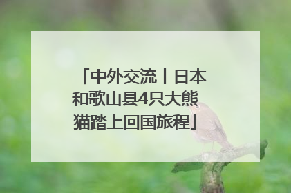 中外交流丨日本和歌山县4只大熊猫踏上回国旅程