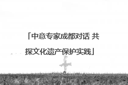 中意专家成都对话 共探文化遗产保护实践
