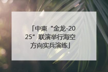 中柬“金龙-2025”联演举行海空方向实兵演练