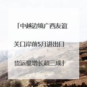 中越边境广西友谊关口岸前5月进出口货运量增长超三成