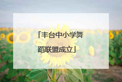 丰台中小学舞蹈联盟成立