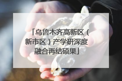 乌鲁木齐高新区（新市区）产学研深度融合再结硕果