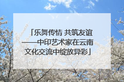 乐舞传情 共筑友谊——中印艺术家在云南文化交流中绽放异彩