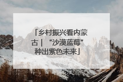 乡村振兴看内蒙古｜“沙漠蓝莓”种出紫色未来