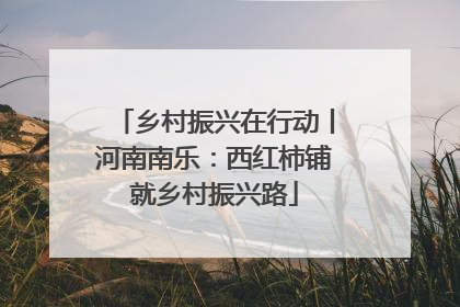乡村振兴在行动丨河南南乐：西红柿铺就乡村振兴路