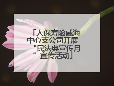人保寿险威海中心支公司开展“民法典宣传月”宣传活动