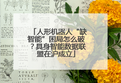 人形机器人“缺智能”困局怎么破？具身智能数据联盟在沪成立
