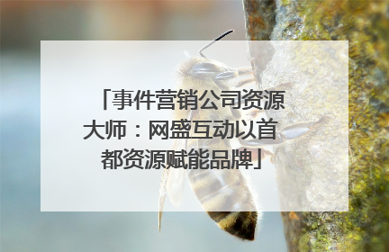 事件营销公司资源大师：网盛互动以首都资源赋能品牌
