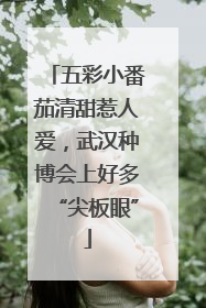 五彩小番茄清甜惹人爱，武汉种博会上好多“尖板眼”
