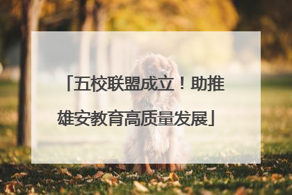 五校联盟成立！助推雄安教育高质量发展