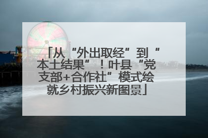 从“外出取经”到“本土结果”！叶县“党支部+合作社”模式绘就乡村振兴新图景