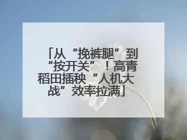 从“挽裤腿”到“按开关”！高青稻田插秧“人机大战”效率拉满