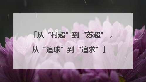 从“村超”到“苏超”，从“追球”到“追求”
