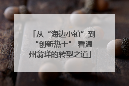 从“海边小镇”到“创新热土” 看温州翁垟的转型之道