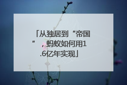 从独居到“帝国”，蚂蚁如何用1.6亿年实现